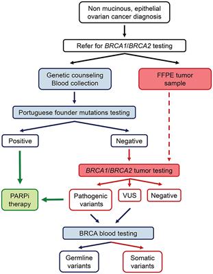 Tumor Testing for Somatic and Germline BRCA1/BRCA2 Variants in Ovarian Cancer Patients in the Context of Strong Founder Effects